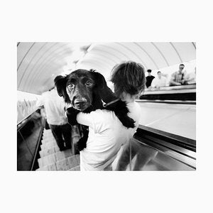 Ian Sanderson, Metro Dog, Archival Pigment Print, 1992-OBQ-928544