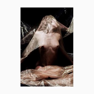 Ian Sanderson, Organza Dream, Fine Art Print, 2006-OBQ-942755