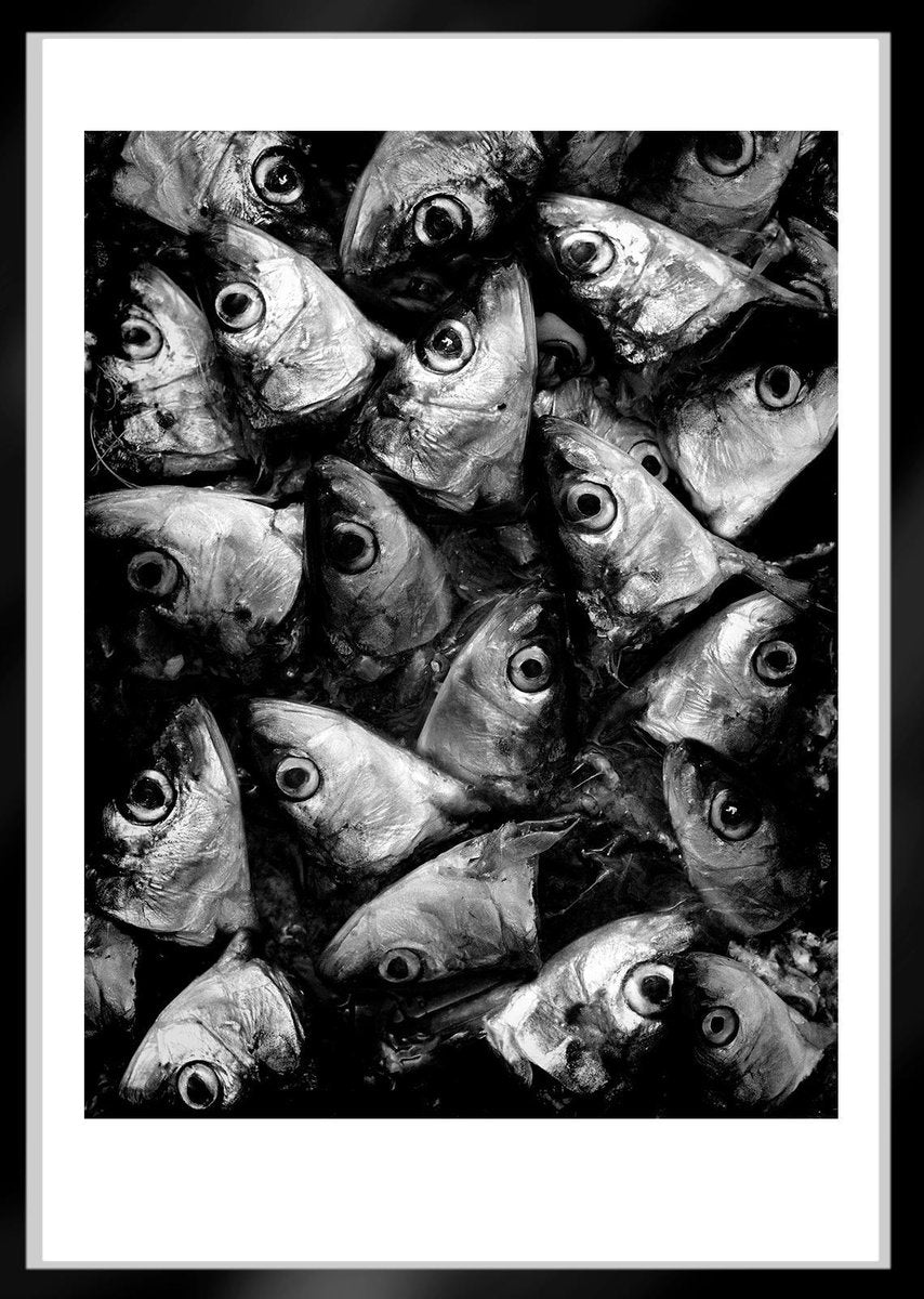 Ian Sanderson, Sardines, Fine Art Print, 1993