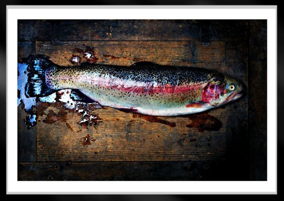 Ian Sanderson, Trout, Fine Art Print, 2009-OBQ-942763