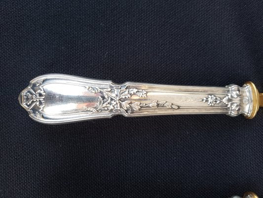 Ice Cream Serving Implements with Silver Handles, 1890s, Set of 2-EHL-861591