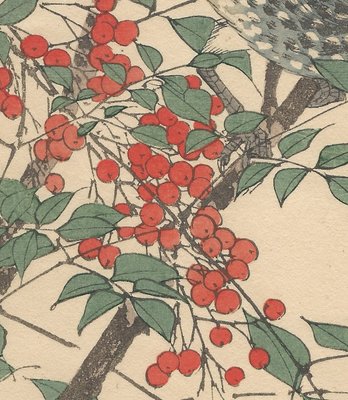 Imao Keinen, Brown-Eared Bulbul from Keinen Kacho Gafu, 1892, Woodblock Print-YWW-2035693