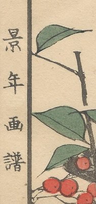 Imao Keinen, Brown-Eared Bulbul from Keinen Kacho Gafu, 1892, Woodblock Print-YWW-2035693