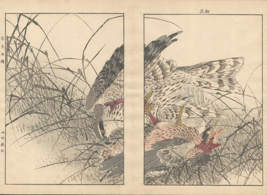 Imao Keinen, Double-Page Eurasian Goshawk Grabbing Eurasian Teal from Keinen Kacho Gafu, 1892, Woodblock Print-YWW-2035984