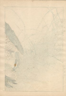 Imao Keinen, Double-Page Eurasian Goshawk Grabbing Eurasian Teal from Keinen Kacho Gafu, 1892, Woodblock Print-YWW-2035984