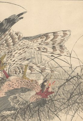 Imao Keinen, Double-Page Eurasian Goshawk Grabbing Eurasian Teal from Keinen Kacho Gafu, 1892, Woodblock Print-YWW-2035984