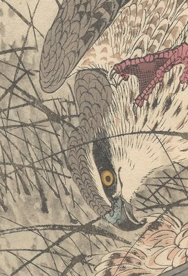 Imao Keinen, Double-Page Eurasian Goshawk Grabbing Eurasian Teal from Keinen Kacho Gafu, 1892, Woodblock Print-YWW-2035984