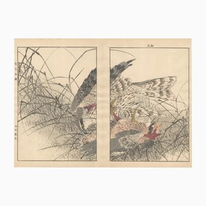 Imao Keinen, Double-Page Eurasian Goshawk Grabbing Eurasian Teal from Keinen Kacho Gafu, 1892, Woodblock Print-YWW-2035984