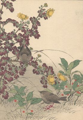 Imao Keinen, Eurasian Wren from Keinen Kacho Gafu, 1892, Woodblock Print-YWW-2035685