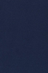 AUBERGINE