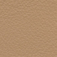 Imperial Eagle (FE4033)