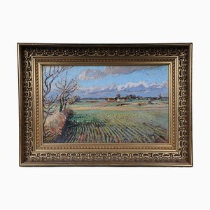 Impressionist Artist, Autumn Landscape, 20th Century, Oil on Canvas, Framed-FLW-1401740