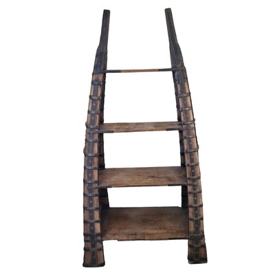 Indian Shelf in Teak and Metal-TCS-1742975