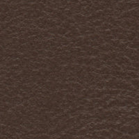 Indian Mynah (FE4041)