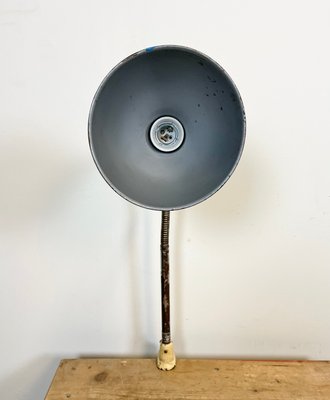 Industrial Beige Gooseneck Table Lamp from Instala, 1960s-CGF-1110379