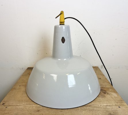 Industrial Grey Enamel Factory Pendant Lamp from Philips, 1960s-CGF-1746415