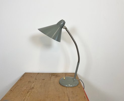 Industrial Grey Gooseneck Table Lamp from Hala, 1960s-CGF-1057230