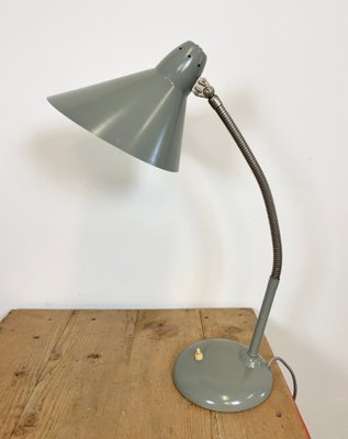 Industrial Grey Gooseneck Table Lamp from Hala, 1960s-CGF-1057230