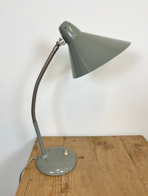 Industrial Grey Gooseneck Table Lamp from Hala, 1960s-CGF-1057230