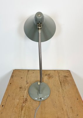 Industrial Grey Gooseneck Table Lamp from Hala, 1960s-CGF-1057230