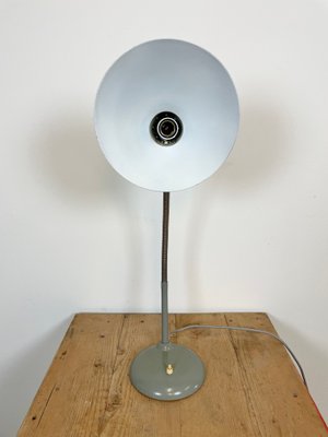 Industrial Grey Gooseneck Table Lamp from Hala, 1960s-CGF-1057230