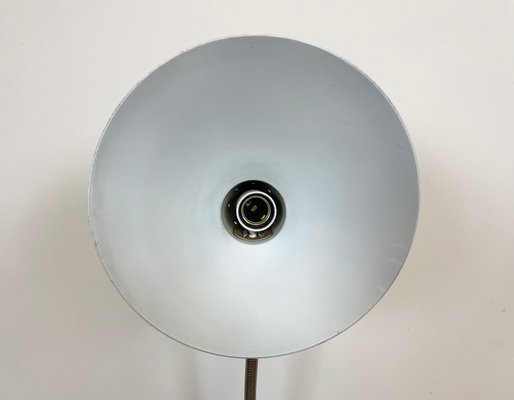 Industrial Grey Gooseneck Table Lamp from Hala, 1960s-CGF-1057230