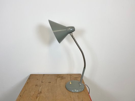 Industrial Grey Gooseneck Table Lamp from Hala, 1960s-CGF-1057230