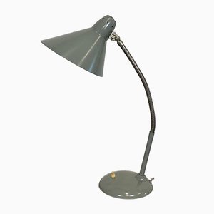 Industrial Grey Gooseneck Table Lamp from Hala, 1960s-CGF-1057230