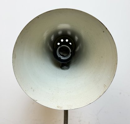 Industrial Grey Gooseneck Table Lamp from Zaos, 1960s-CGF-1785071