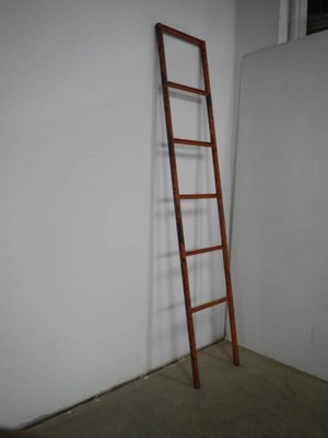 Industrial Ladder in Colored Iron-WWQ-1070154