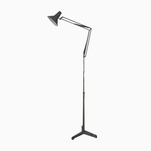 Industrial Terry Architectural Floor Lamp by H. Busquet for Hala, 1950s-RDW-717473