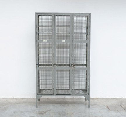 Industrial Transparent Metal Locker Cabinet, 1950s-VT-639992