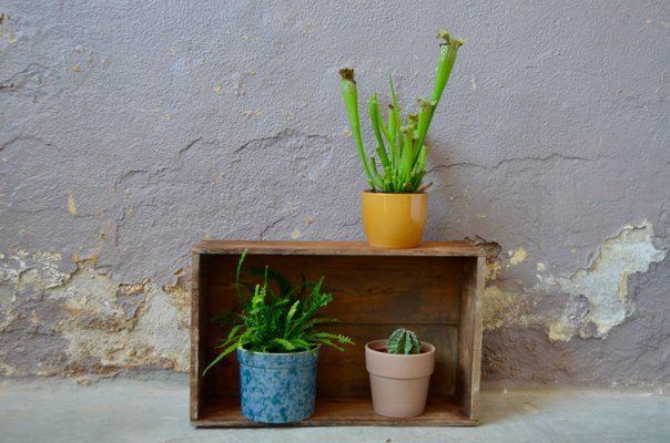 Industrial Wooden Storage Box, 1940s-AIU-2014780