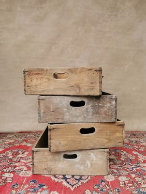 Industrial Wooden Storage Trays, 1950s, Set of 4-FW-1133808