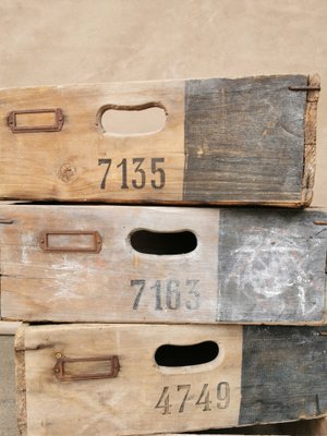 Industrial Wooden Storage Trays, 1950s, Set of 4-FW-1133808