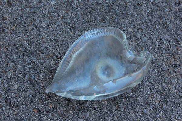 Iridescent Murano Glass Shell Bowl from Seguso, 1950s-EH-627496