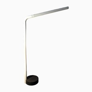 Iron and Acrylic Glass Tube and Neon Inner Cast Floor Lamp, 1970s-OHK-1361309