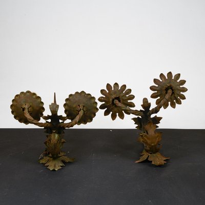 Iron Flower & Leaf Wall Lights, Set of 2-RAQ-1784756