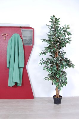 Irregular Shaped Coat Rack, 1950s-XSG-946484