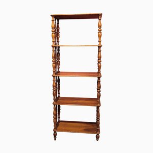 Italian 19th Century Regency Style Rustic Walnut Open Shelves Bookcase-AXE-1437430