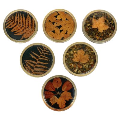 Italian Acrylic Glass and Brass Barware Coasters with Leaf Inclusions from Christian Dior, 1960s, Set of 6-LYQ-1214936