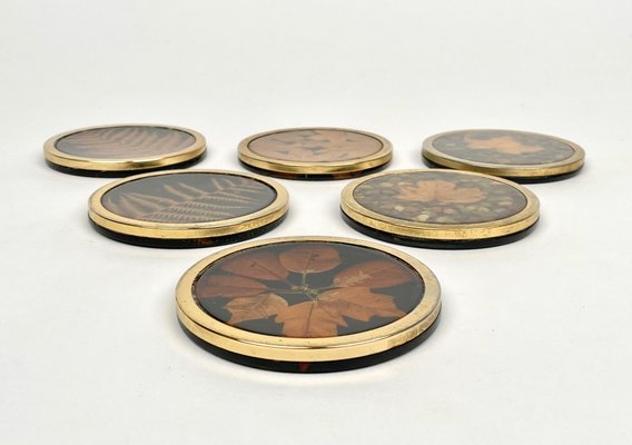 Italian Acrylic Glass and Brass Barware Coasters with Leaf Inclusions from Christian Dior, 1960s, Set of 6-LYQ-1214936