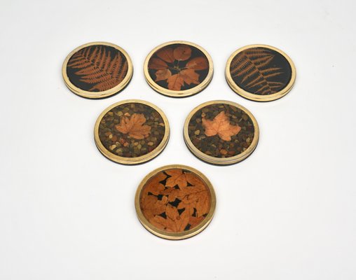 Italian Acrylic Glass and Brass Barware Coasters with Leaf Inclusions from Christian Dior, 1960s, Set of 6-LYQ-1214936