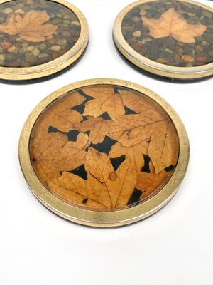 Italian Acrylic Glass and Brass Barware Coasters with Leaf Inclusions from Christian Dior, 1960s, Set of 6-LYQ-1214936