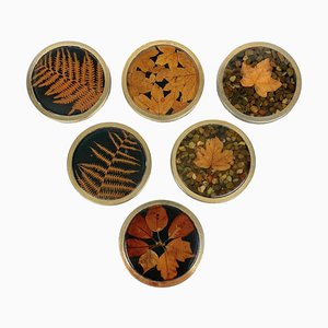 Italian Acrylic Glass and Brass Barware Coasters with Leaf Inclusions from Christian Dior, 1960s, Set of 6-LYQ-1214936