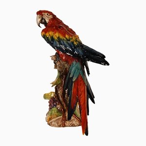 Italian Art Deco Porcelain Macaw or Parrot in the style of Cacciapuoti for Capodimonte, Early 20th Century-GOE-1403004