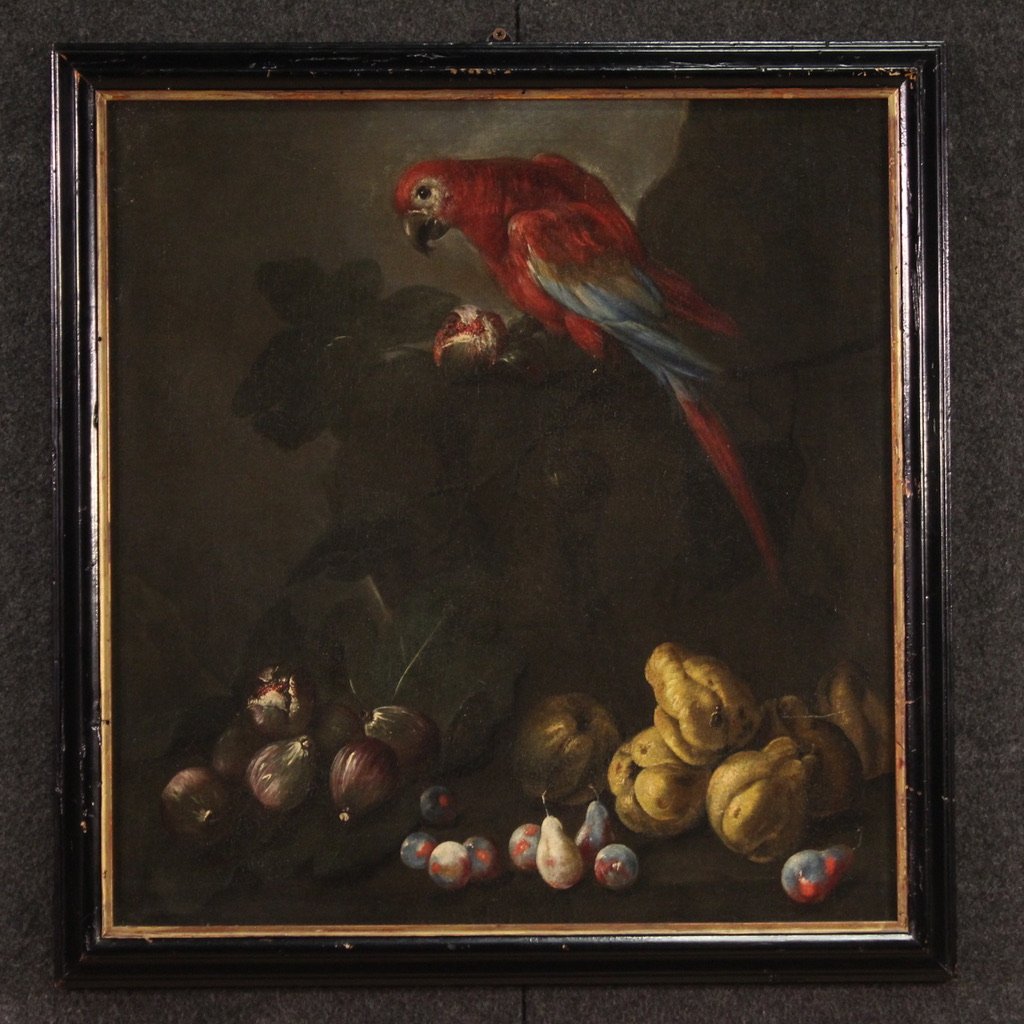 Italian Artist, Still Lifes with Parrots, 1650, Oil on Canvases, Set of 2