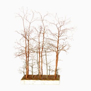 Italian Birch & Copper Trees Sculpture, 1970-KGD-1798695