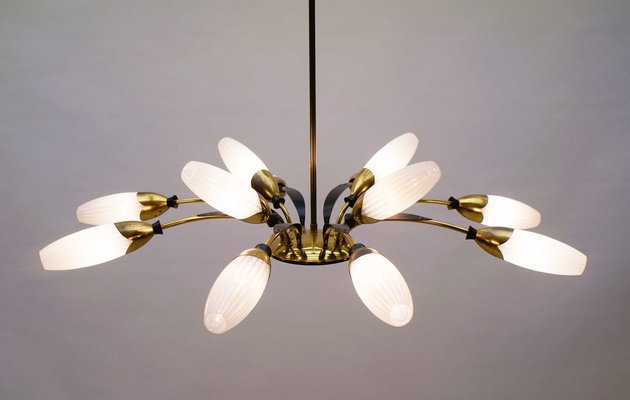 Italian Brass & Glass 12-Arm Sputnik Ceiling Lamp, 1950s-KQB-897072