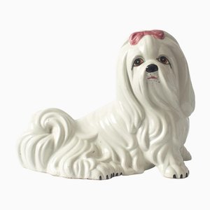 Italian Ceramic Dog Money Box from Il Quadrifoglio, 1960s-IXK-1189186